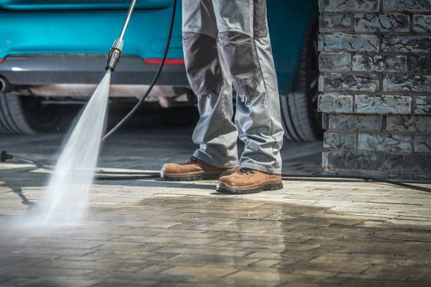 Best Animal Enclosure Cleaning  in Calcium, NY