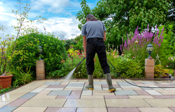 Best Winterizing Services  in Calcium, NY